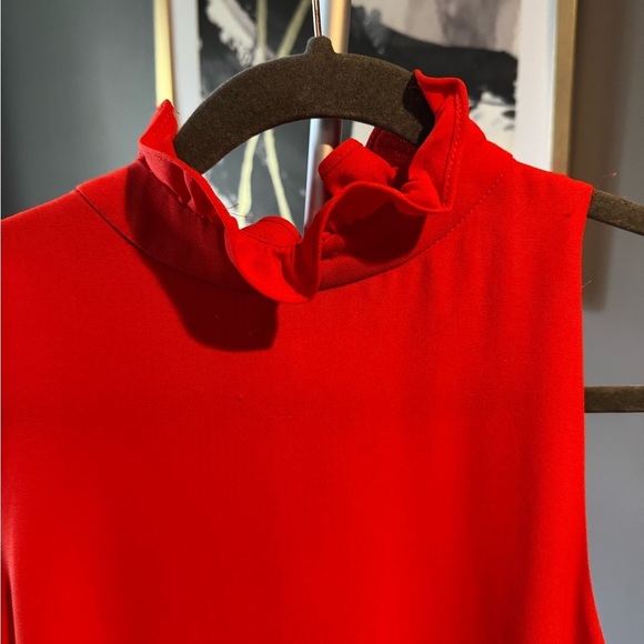 Vibrant Red Sleeveless Dress - Picture 4 of 7